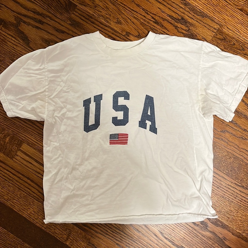 Brandy Melville John Galt USA American Flag Cropped T Shirt